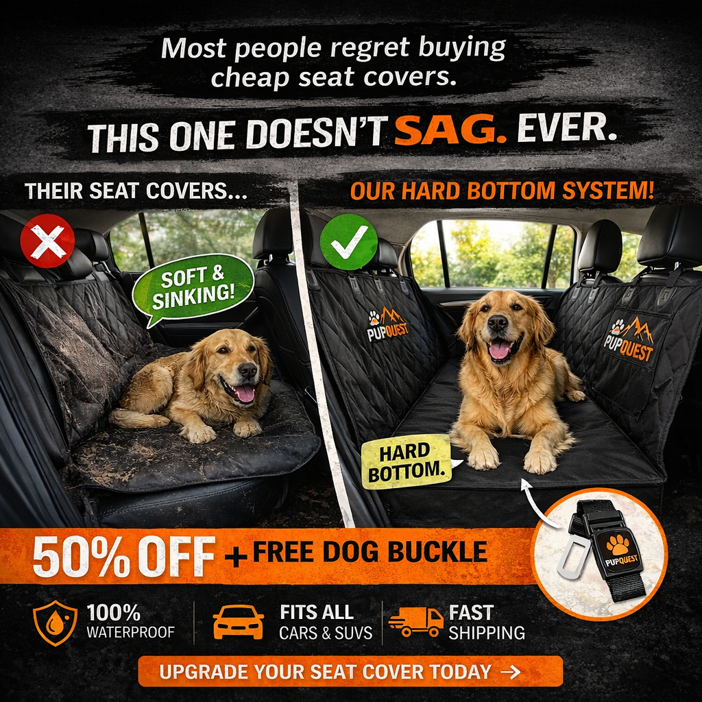 PupQuest Facebook ad: 50% OFF + Free Dog Buckle Ends Tonight