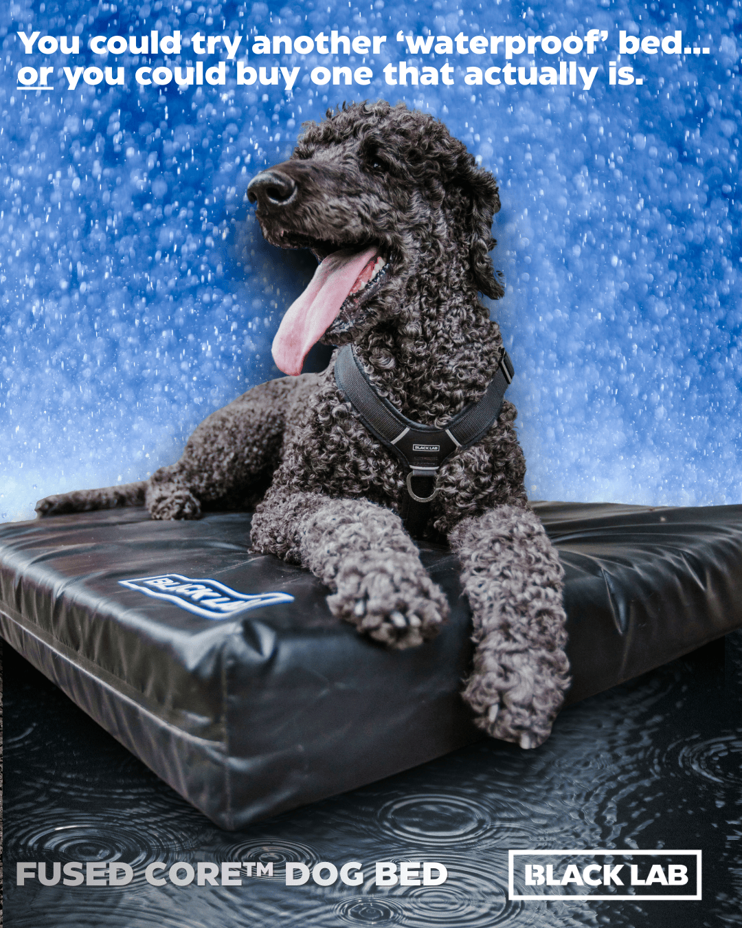 Black Lab Brands Facebook ad