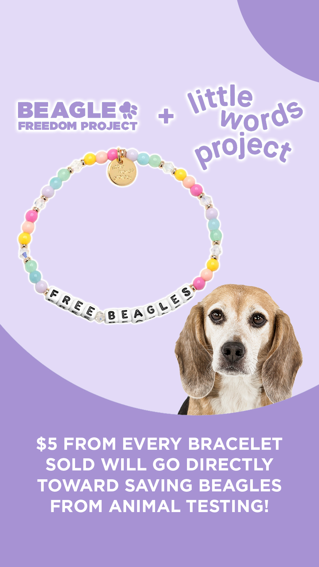 Beagle Freedom Project Facebook ad