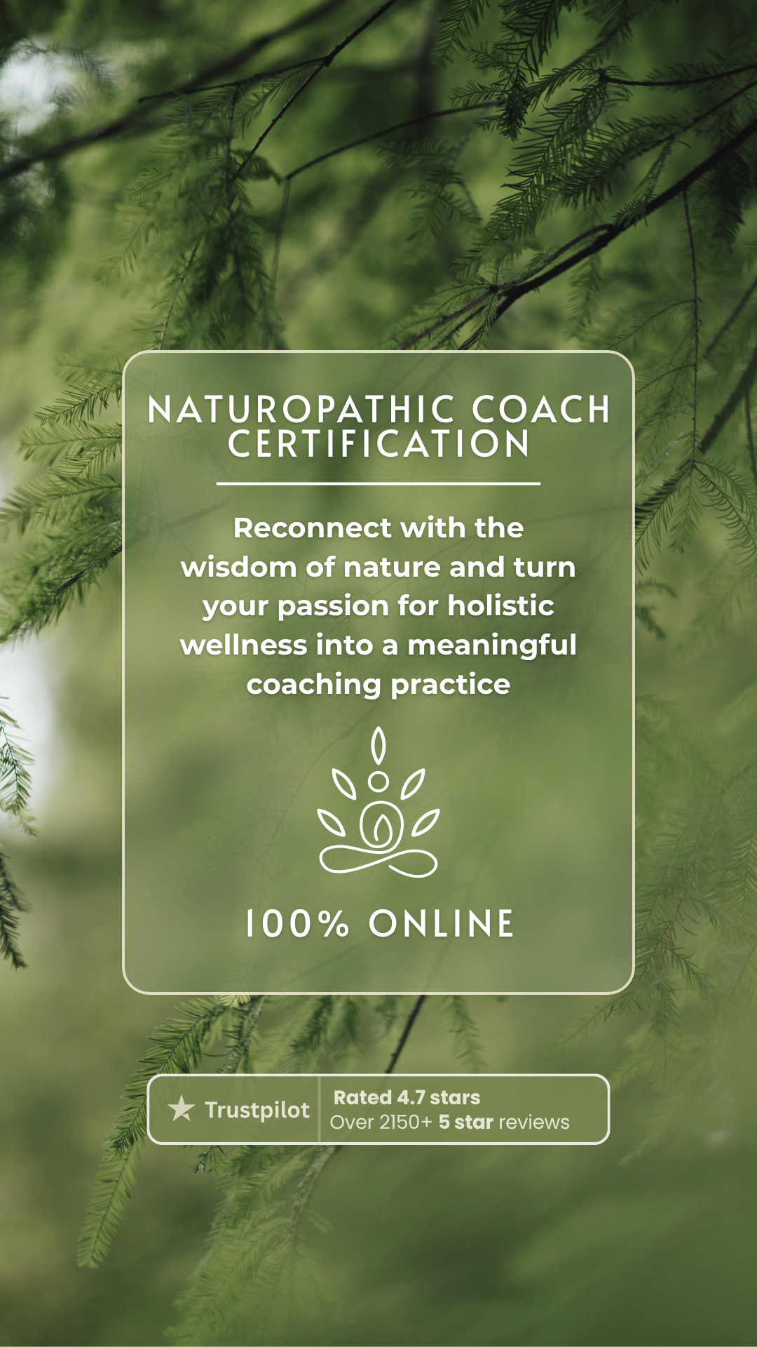 Efficient Therapist Facebook ad: Become a Certified Naturopathic Coach