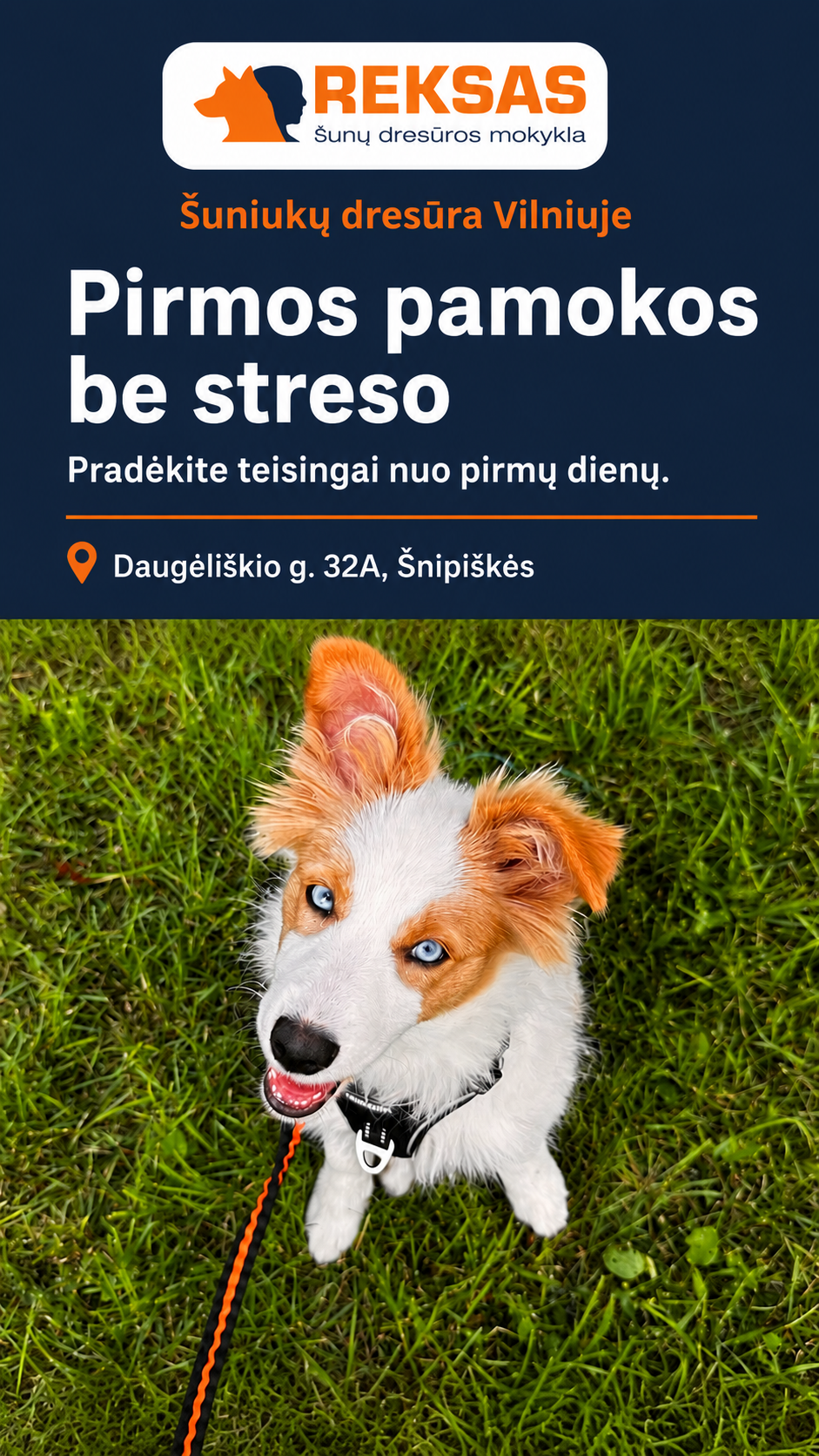 Reksas.lt Facebook ad