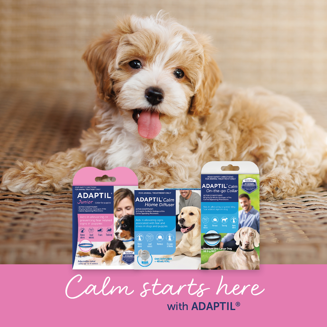 ADAPTIL Facebook ad: ADAPTIL helps comfort nervous dogs during stressful moments…