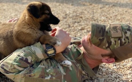 SPCA International Facebook ad: Be Their Hero. Become a Monthly Donor.