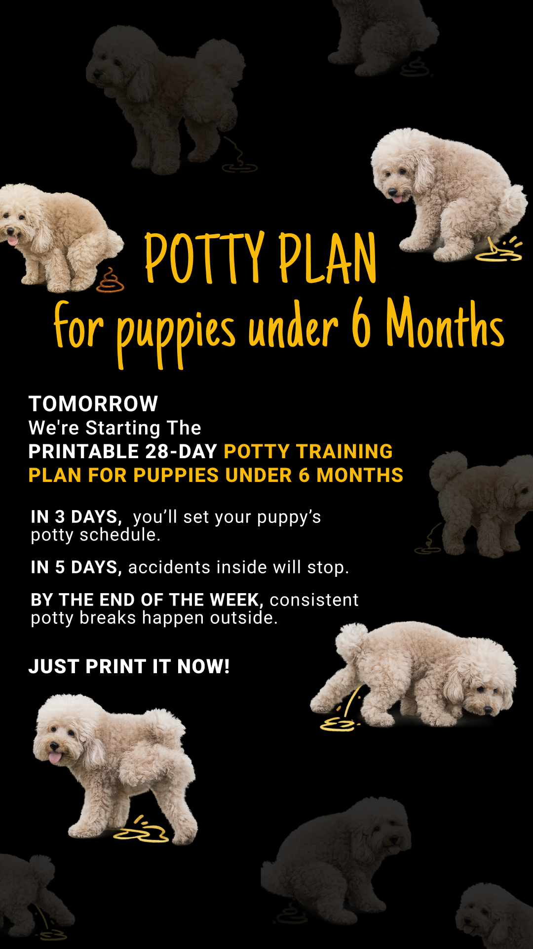 Woofz - Puppy Training Facebook ad