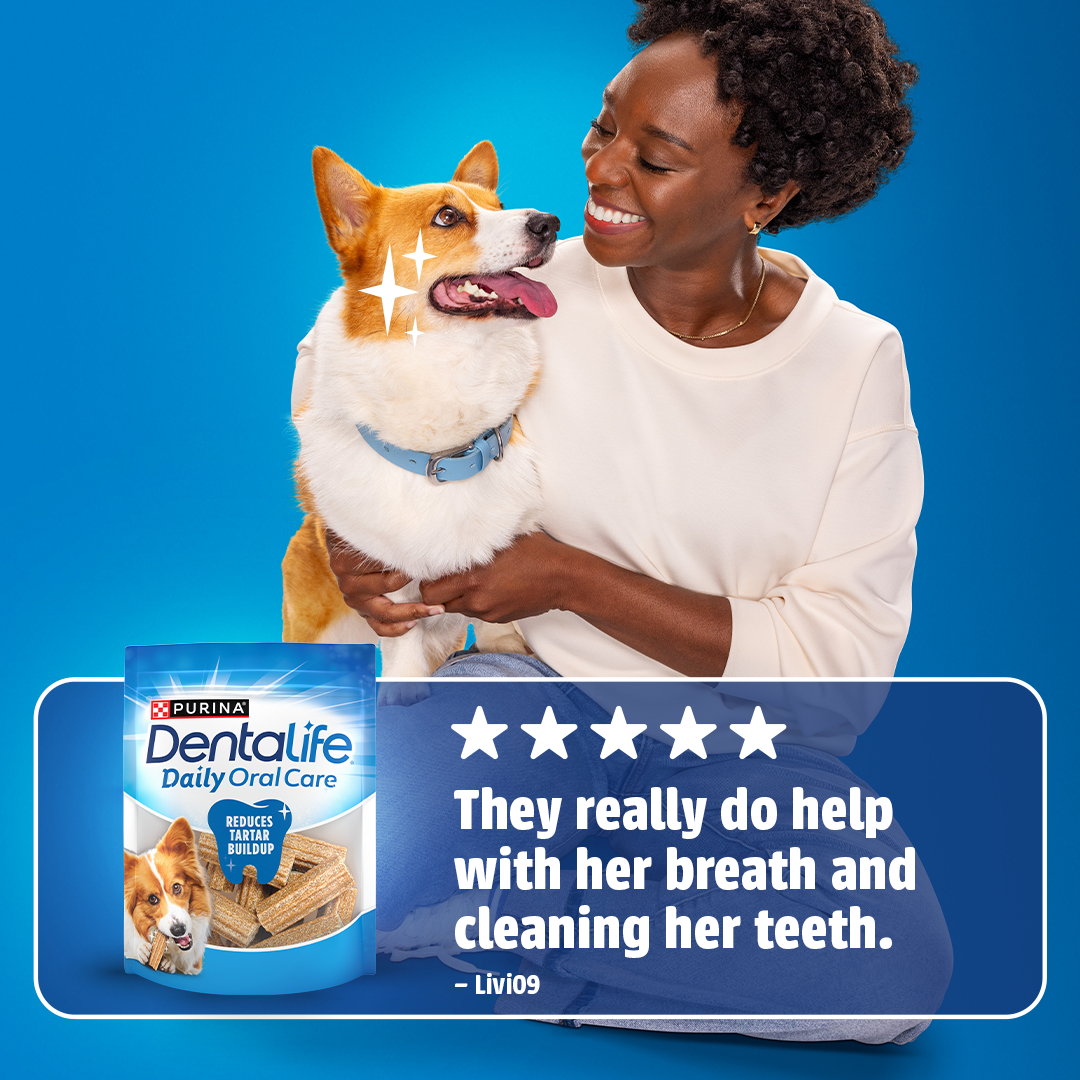DentaLife Facebook ad
