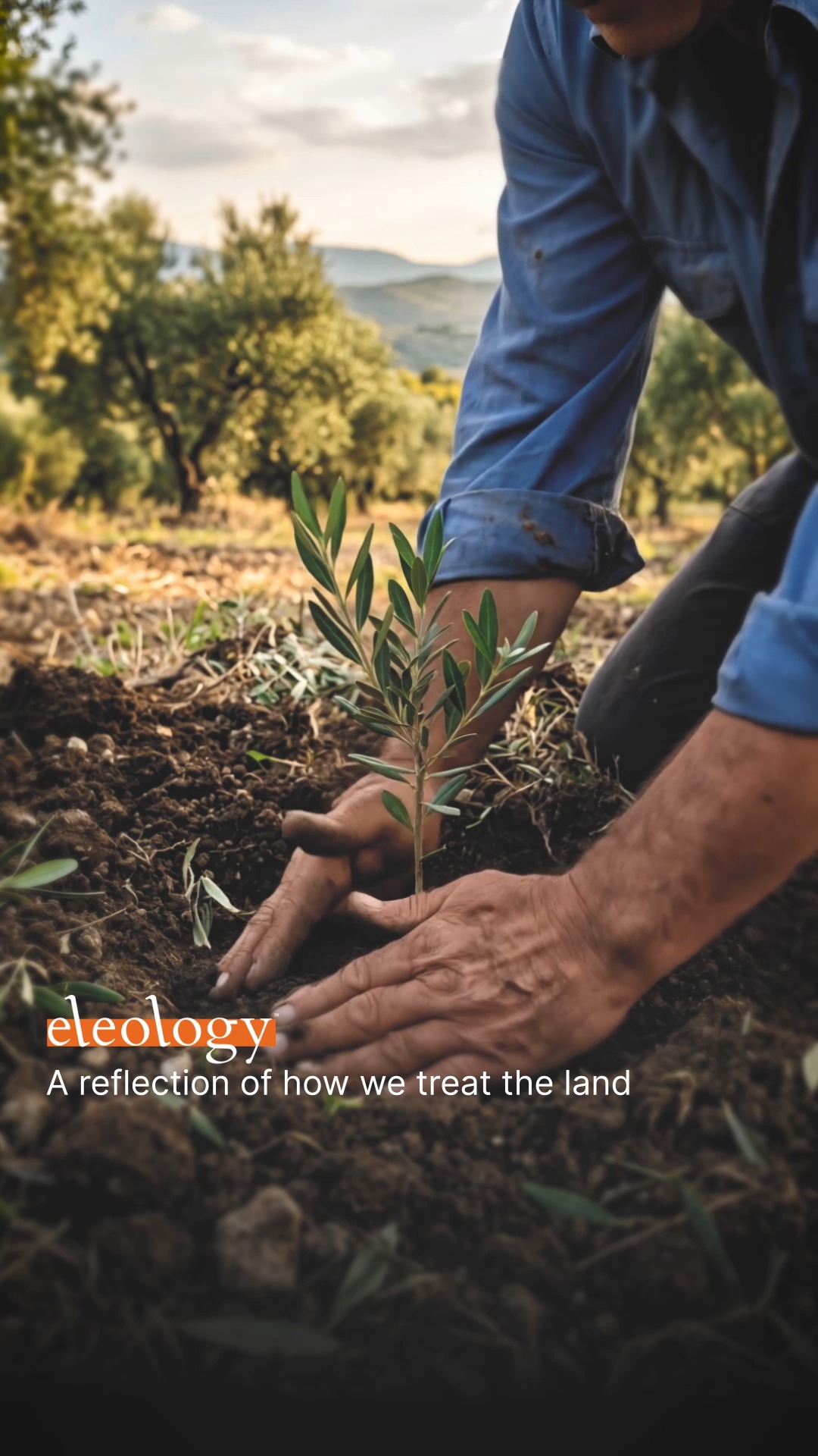 Eleology Facebook ad: Managing every single stage from the grove to…