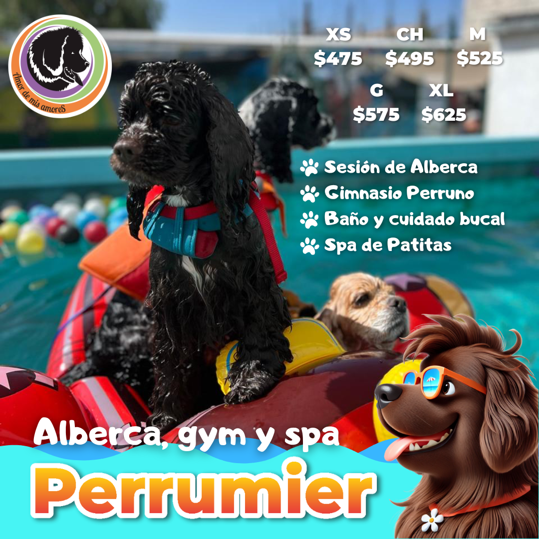 Amor de mis Amores Facebook ad: Spa Canino