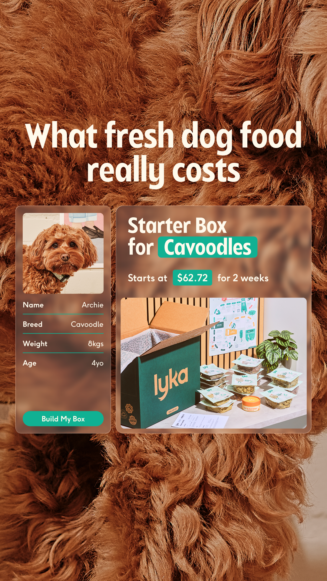 Lyka Pet Food Facebook ad
