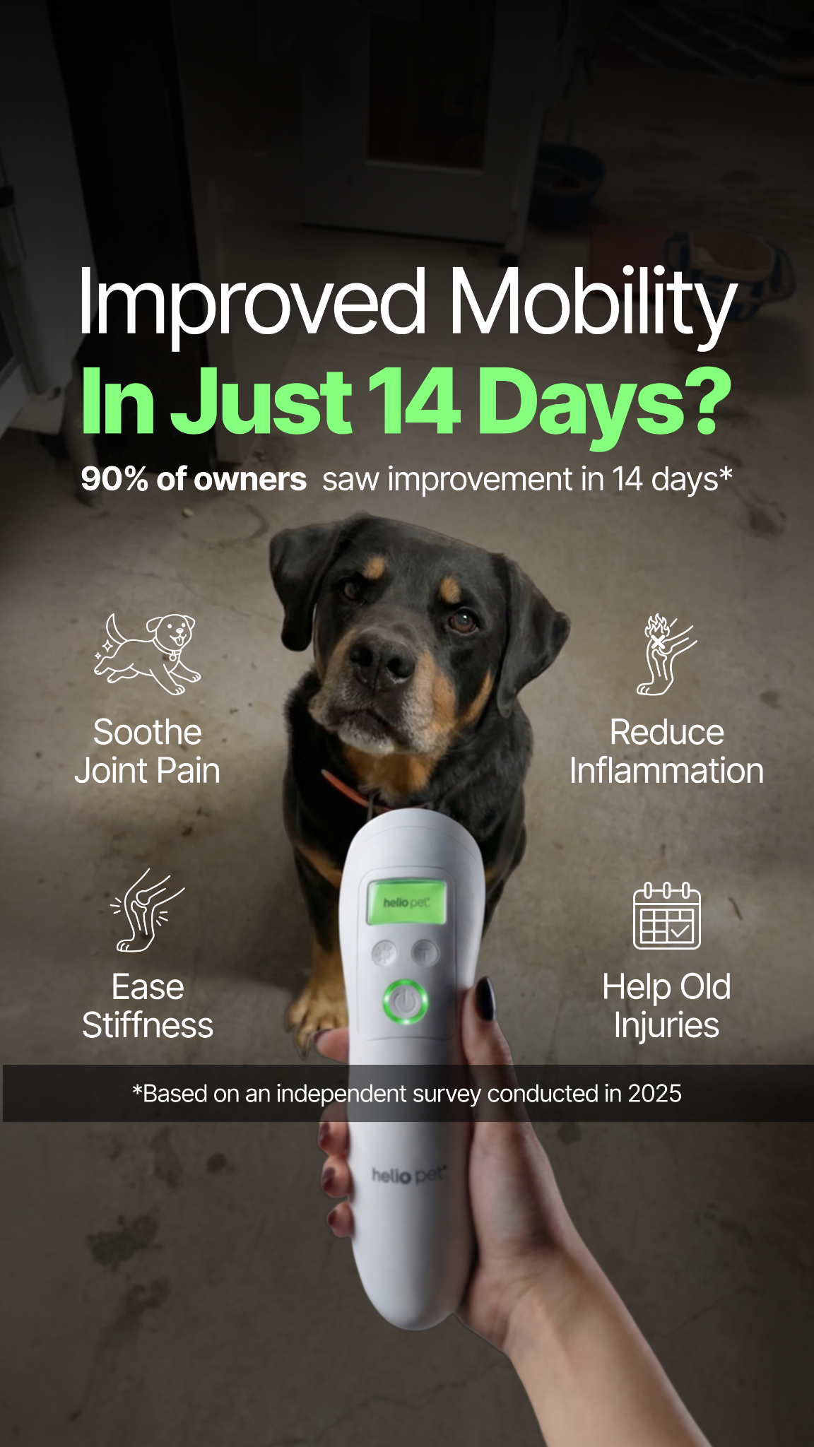 Helio Pet Facebook ad