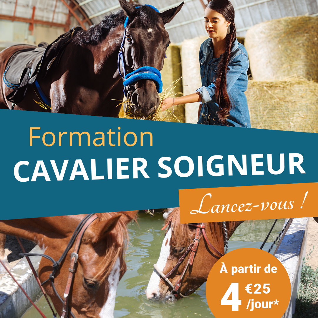 Centre Européen de Formation Facebook ad: Donnez du sens à votre métier