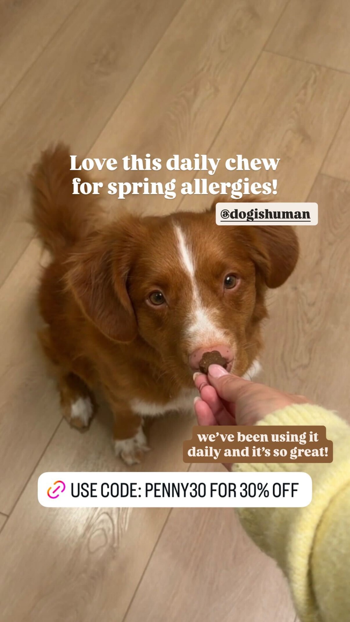 Dog is Human Facebook ad