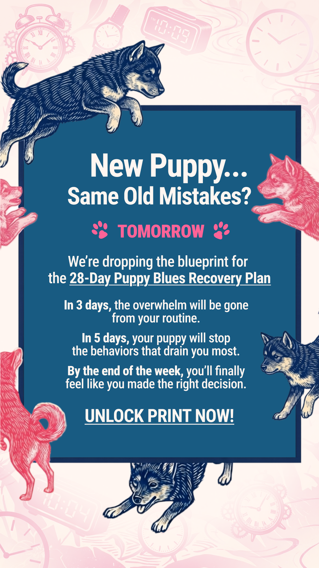 Woofz - Puppy Training Facebook ad