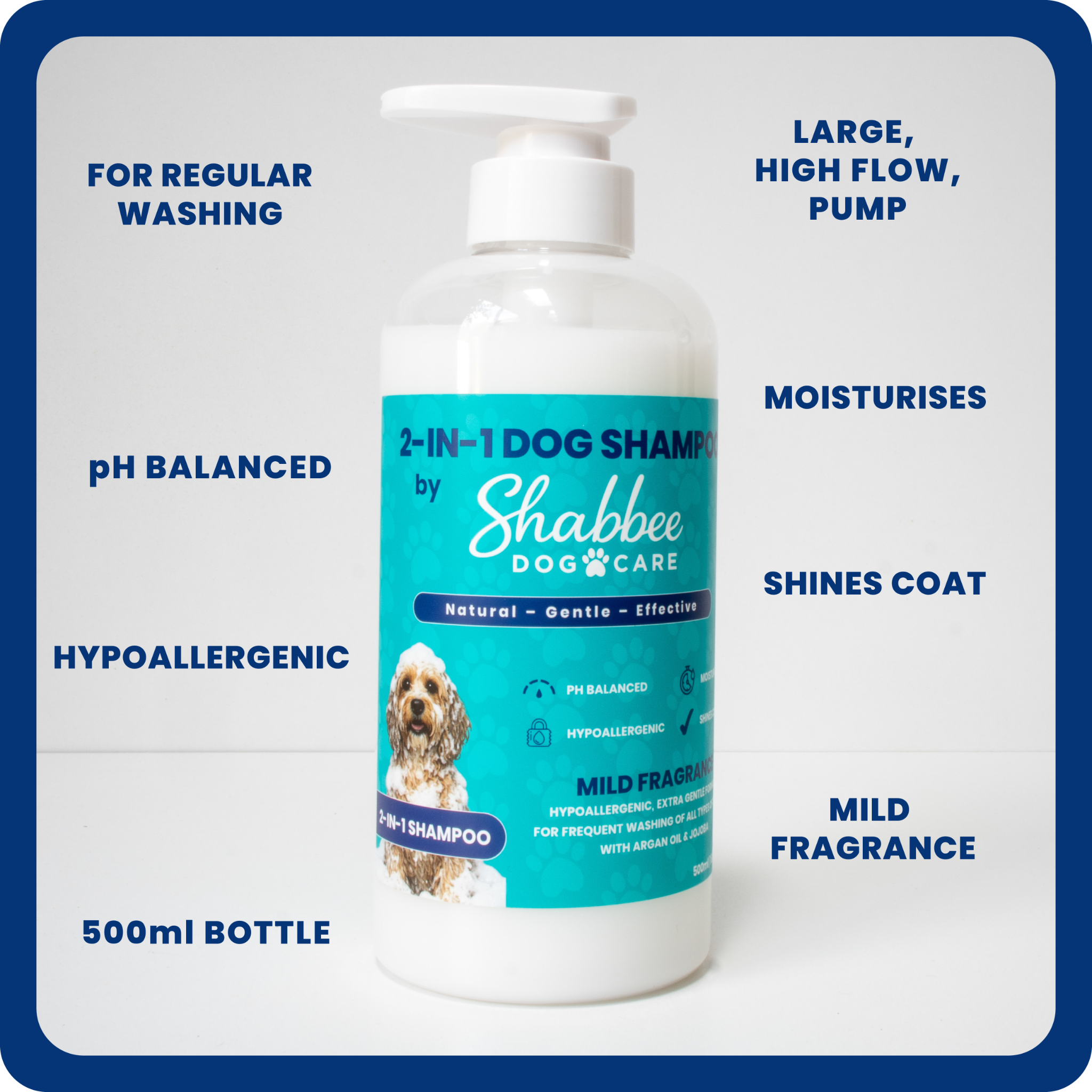 Shabbee Dog Care Facebook ad: Make Shabbee part of your routine!