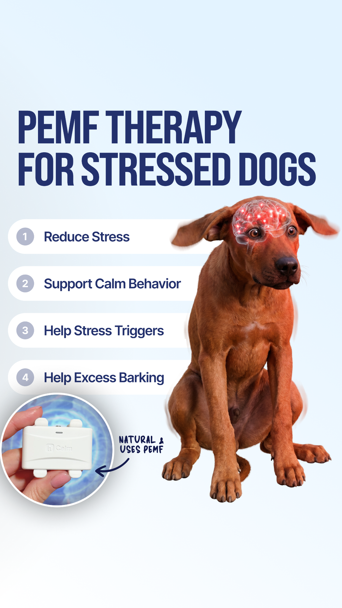 Helio Pet Facebook ad