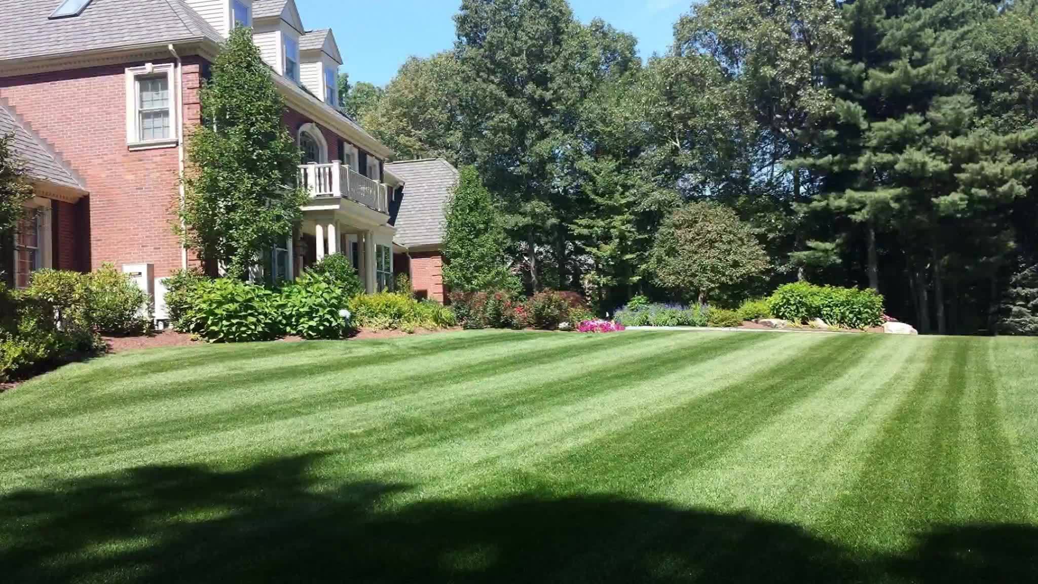 Rutland TurfCare and Pest Control Facebook ad from Jun 30, 2026
