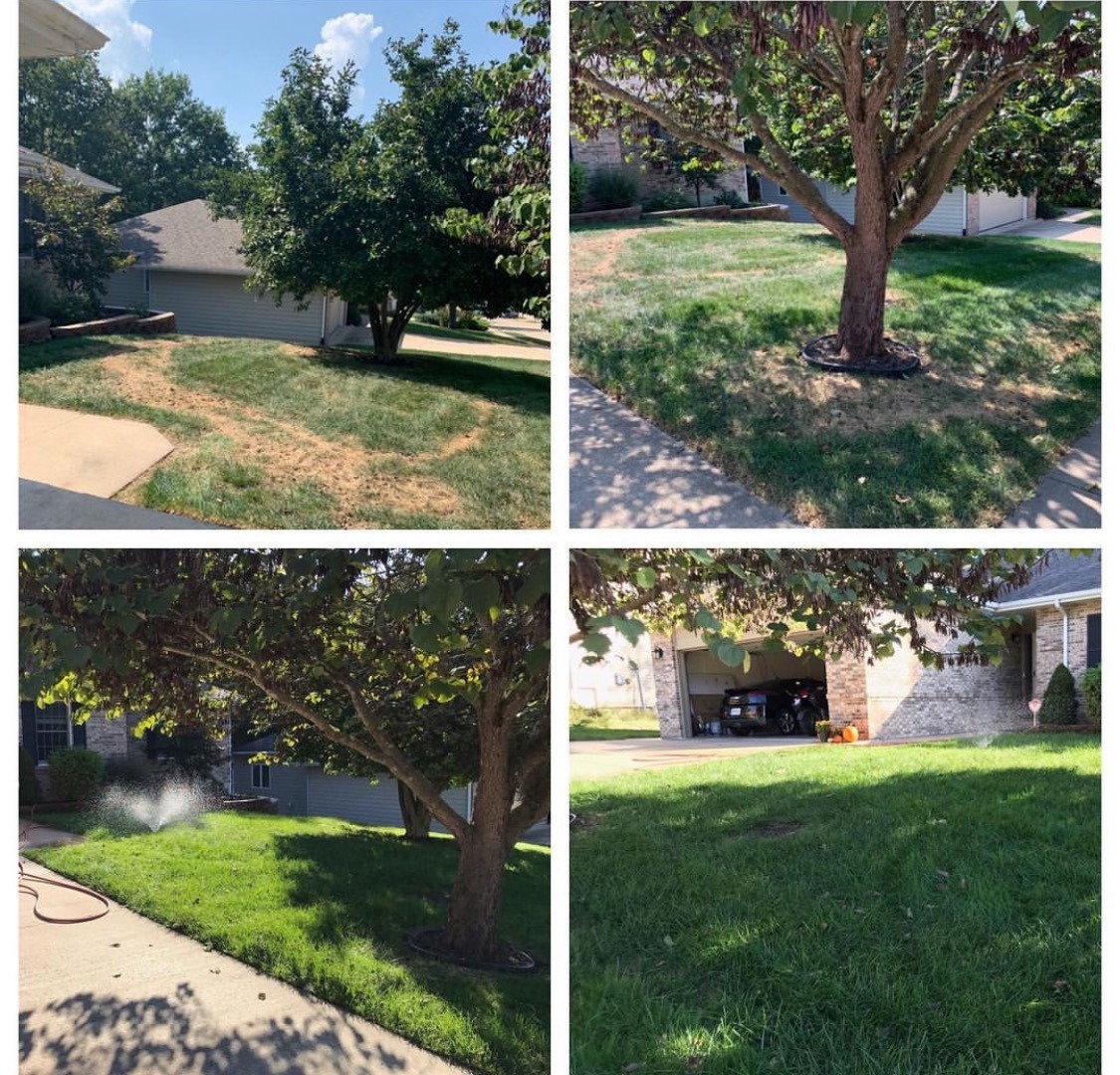 Columbia Lawn Guys LLC Facebook ad: Sign Up For The 6 Step Fertilization Package