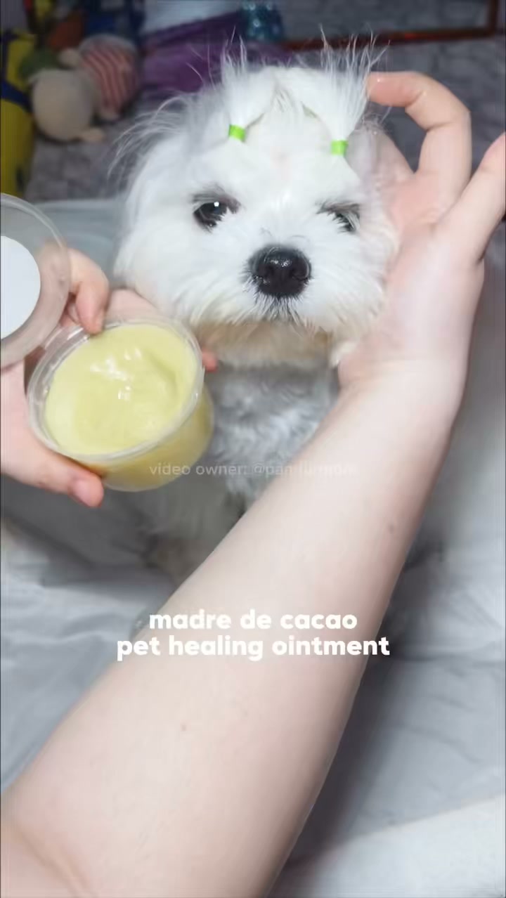 WOOF Premium Organic Dog Shampoo and Soap Facebook ad: WOOF Healing Ointment, alaga sa balat, alaga sa…
