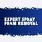 Expert Spray Foam Removal