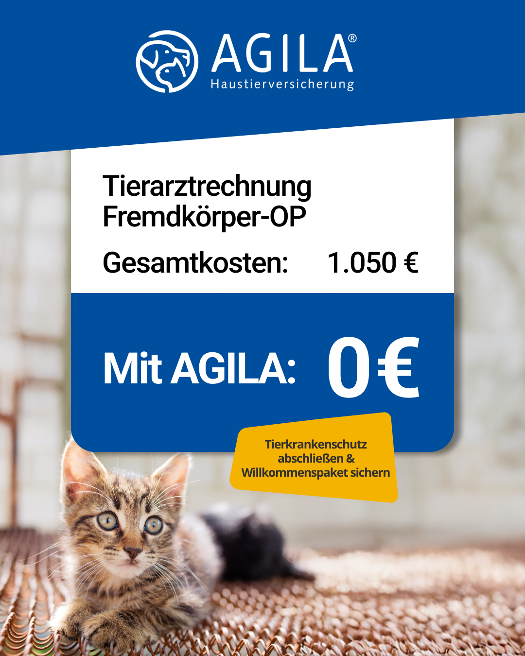 AGILA Haustierversicherung Facebook ad