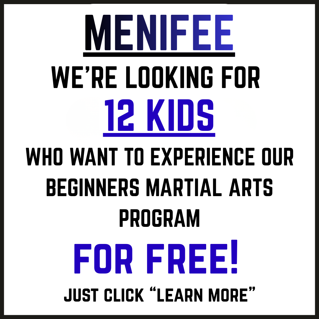 Total Impact Martial Arts Facebook ad: Give Your Child the Gift of Confidence & Discipline