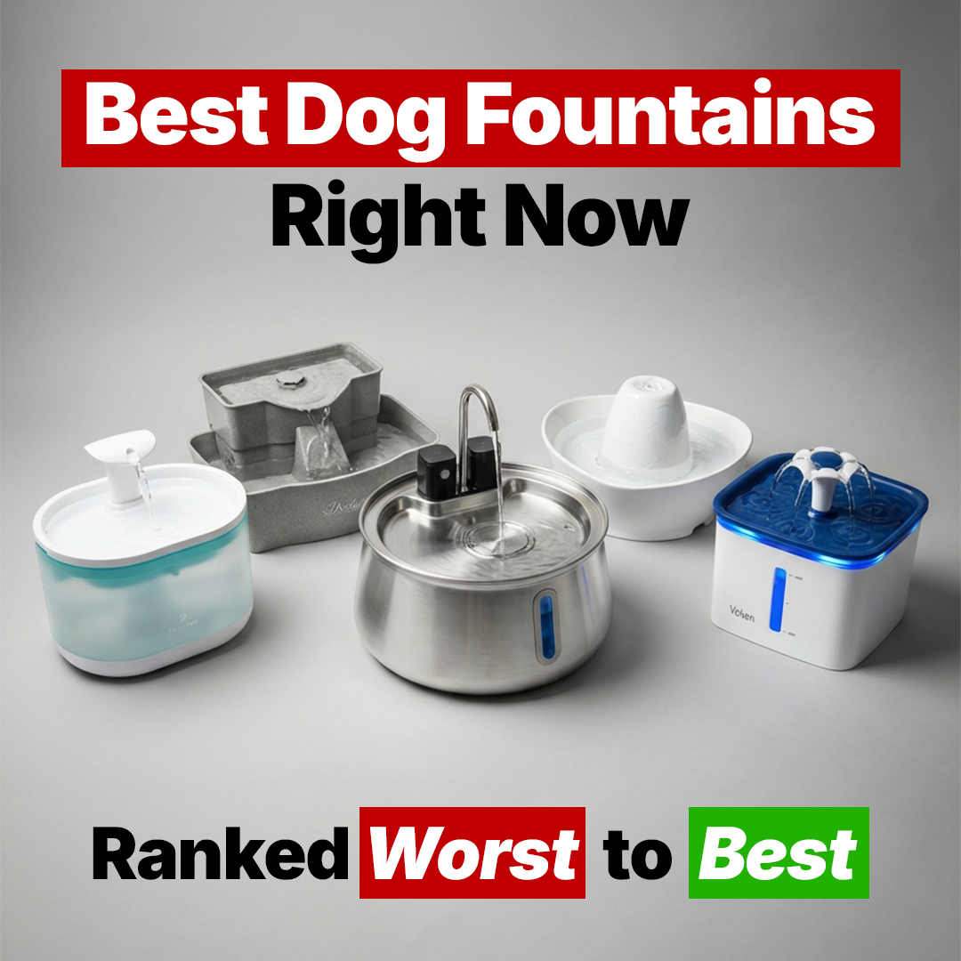Best Dog Products 2026 Facebook ad