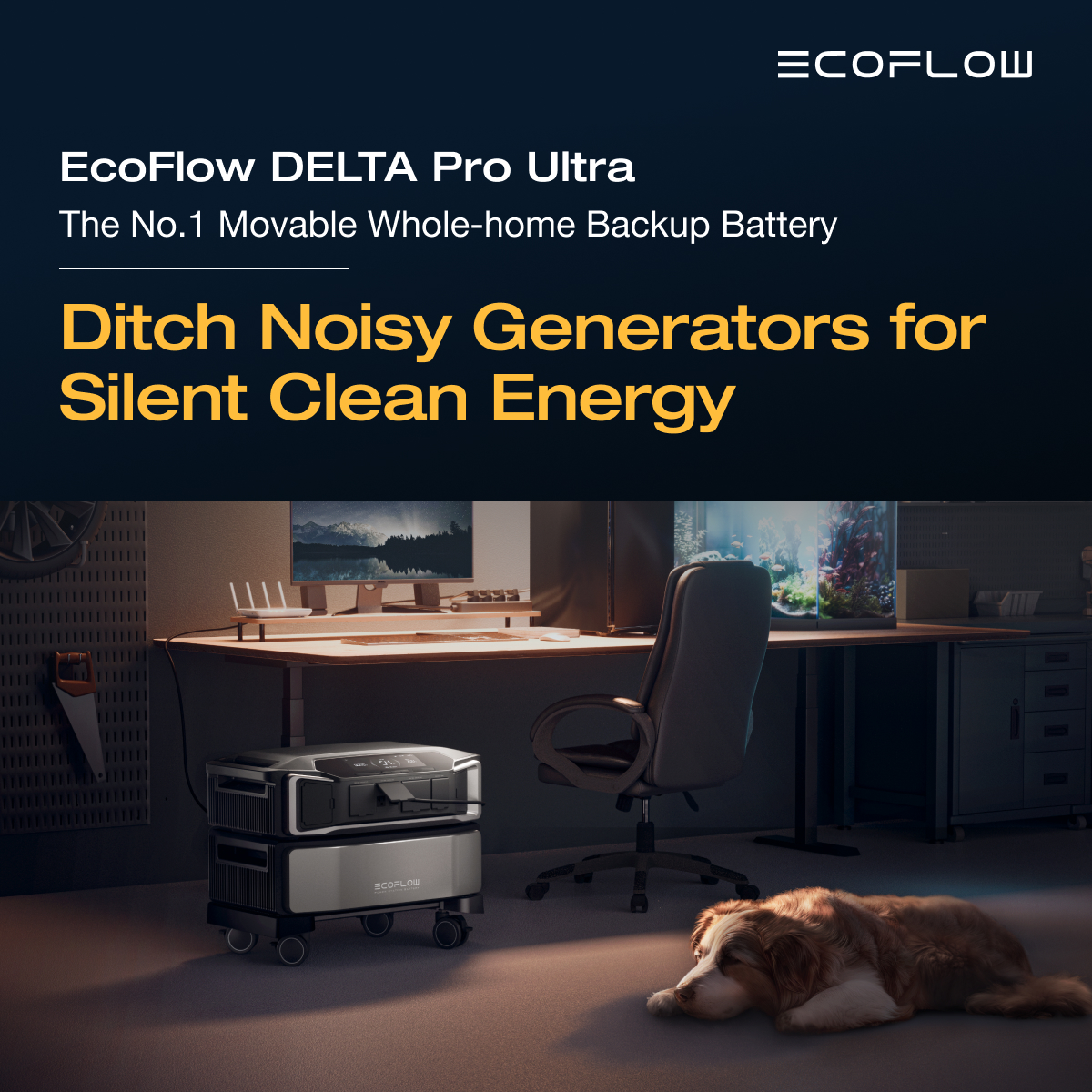 EcoFlow Facebook ad