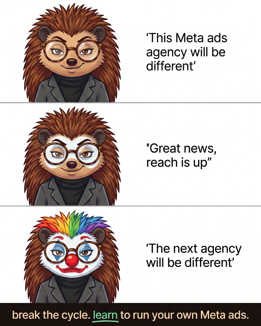 Hedgehog Facebook ad
