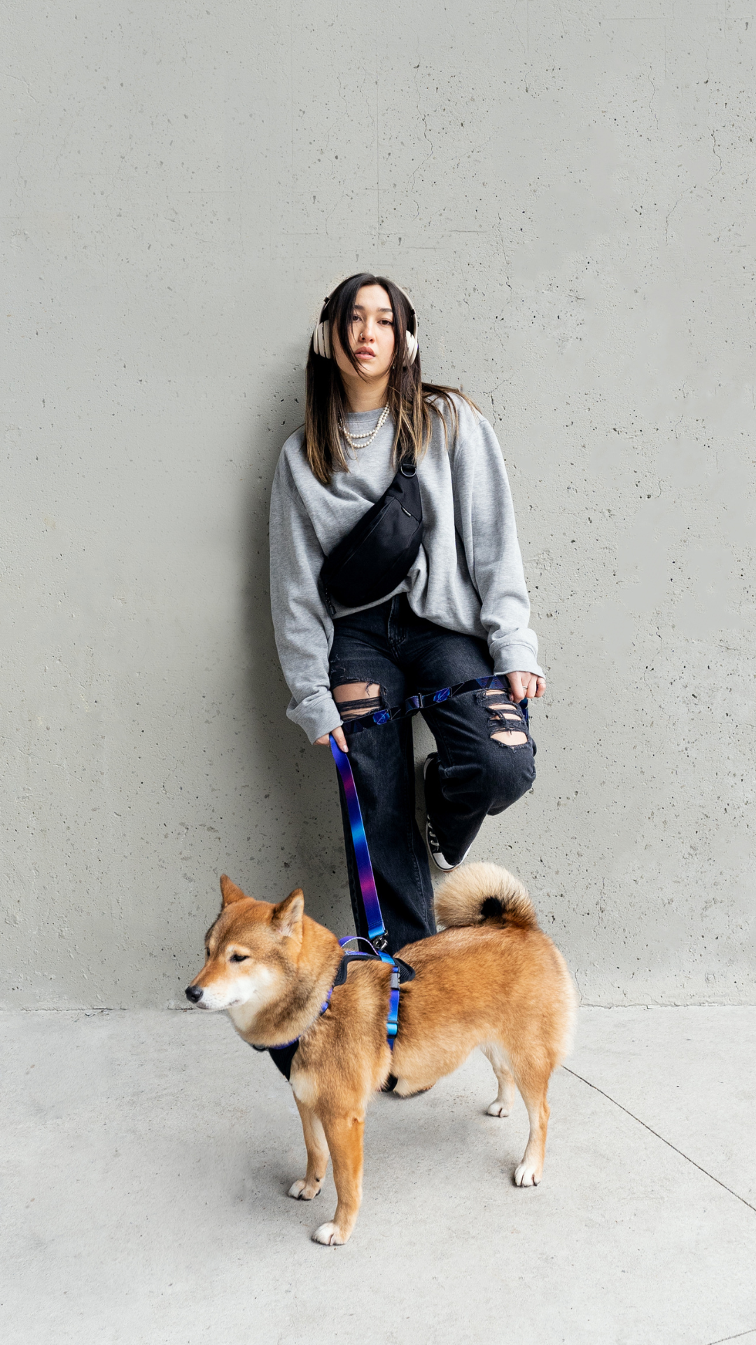 Woof Concept Facebook ad