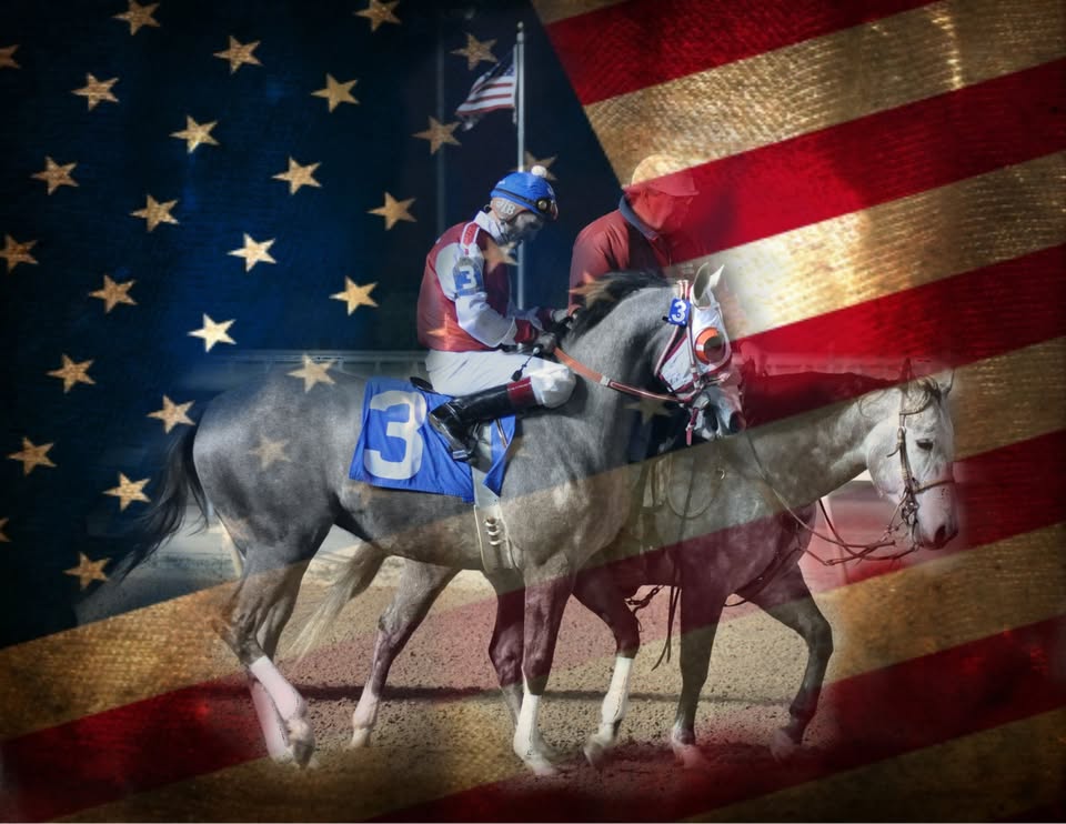 First Choice Equine Facebook ad