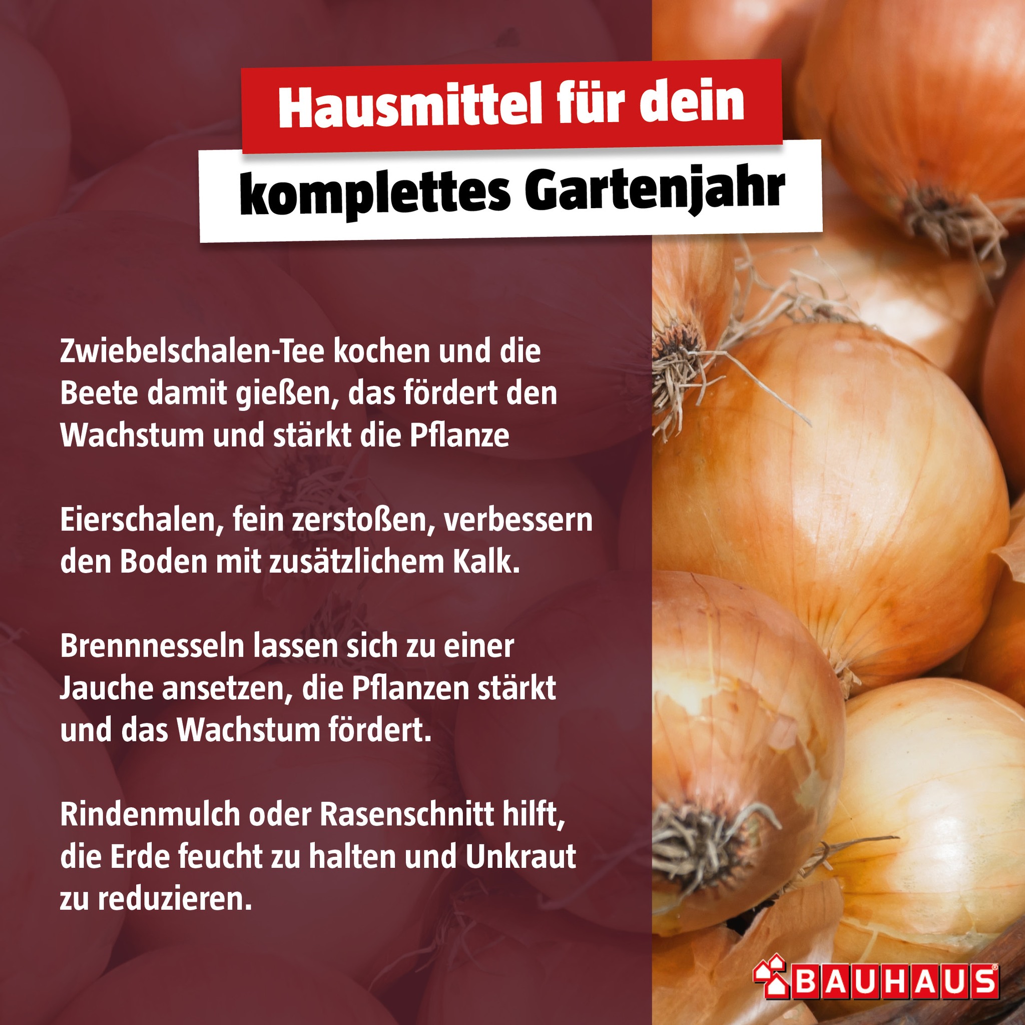 BAUHAUS Luxembourg Facebook ad