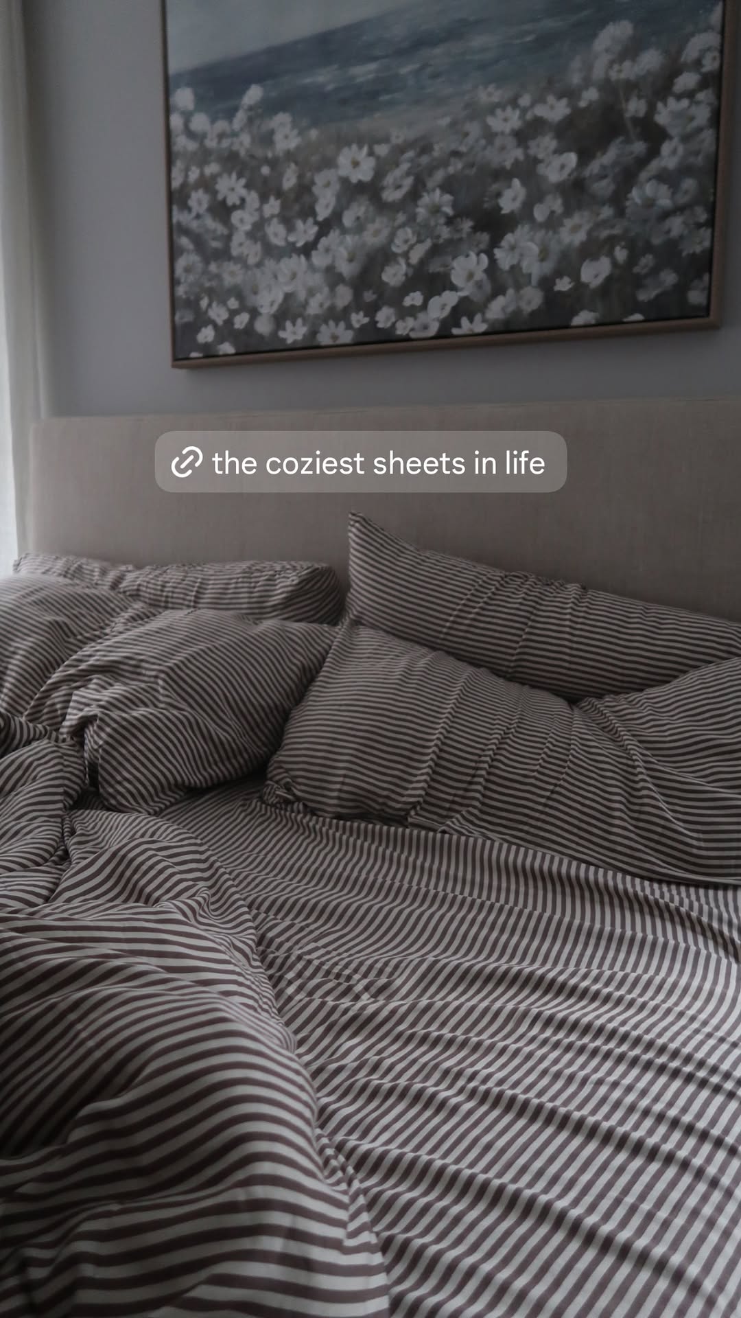 Cozy Earth Facebook ad