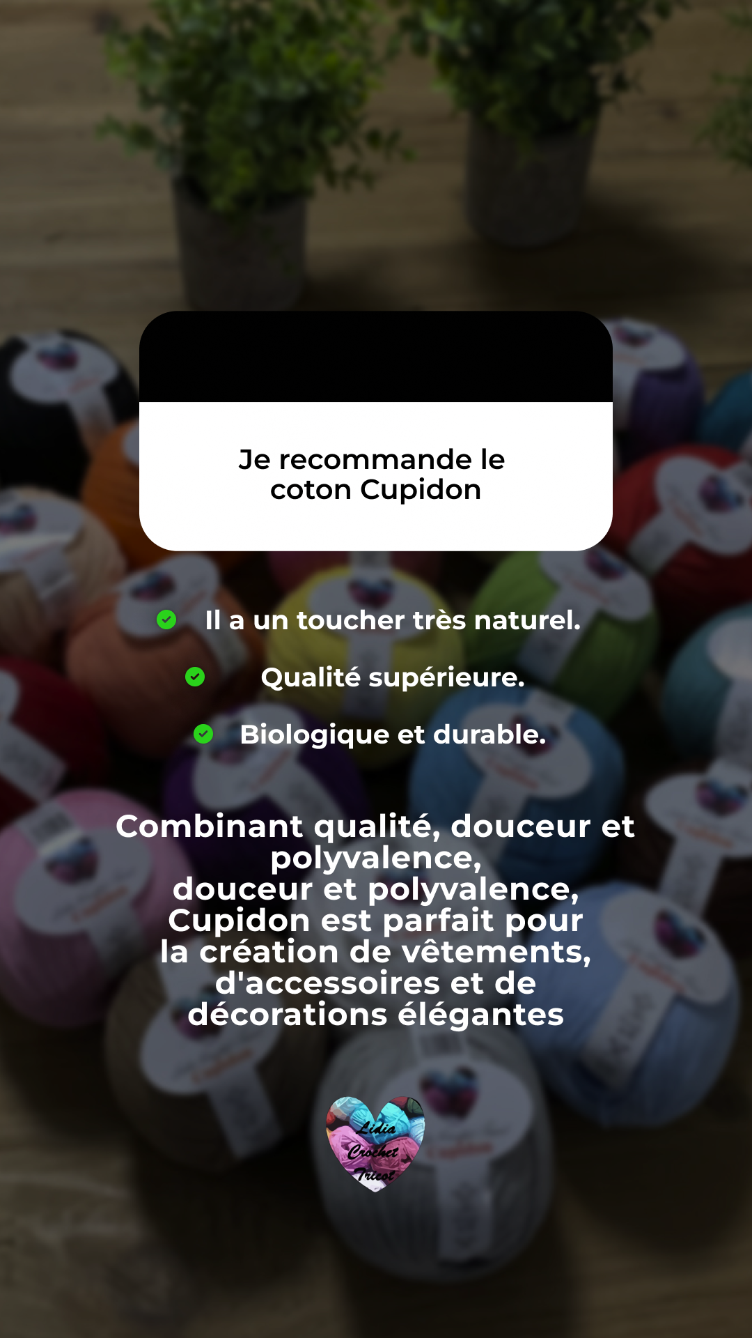 Lidia Crochet Tricot Facebook ad