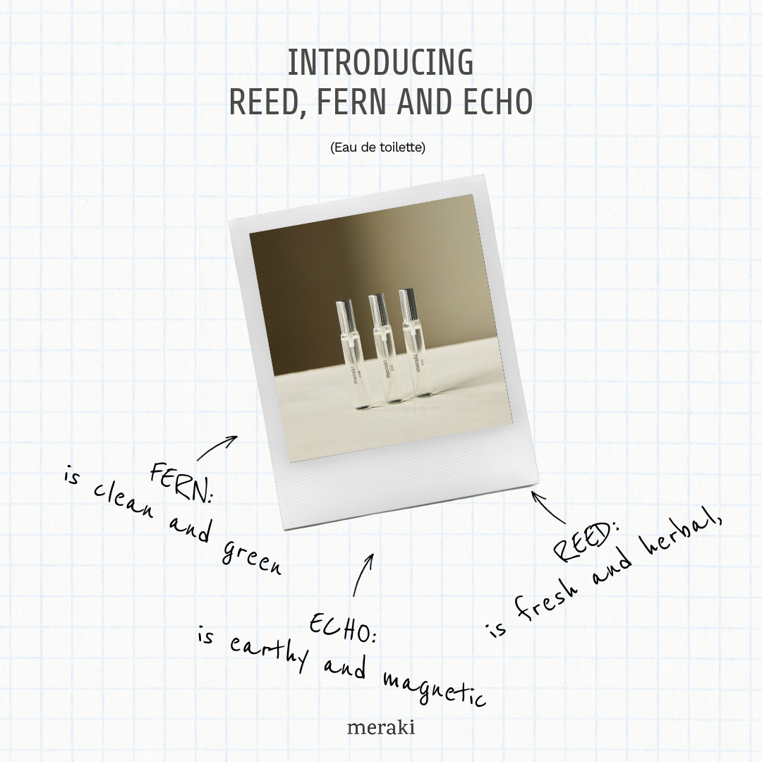 Meraki Facebook ad: Meet Fern, Reed and Echo.