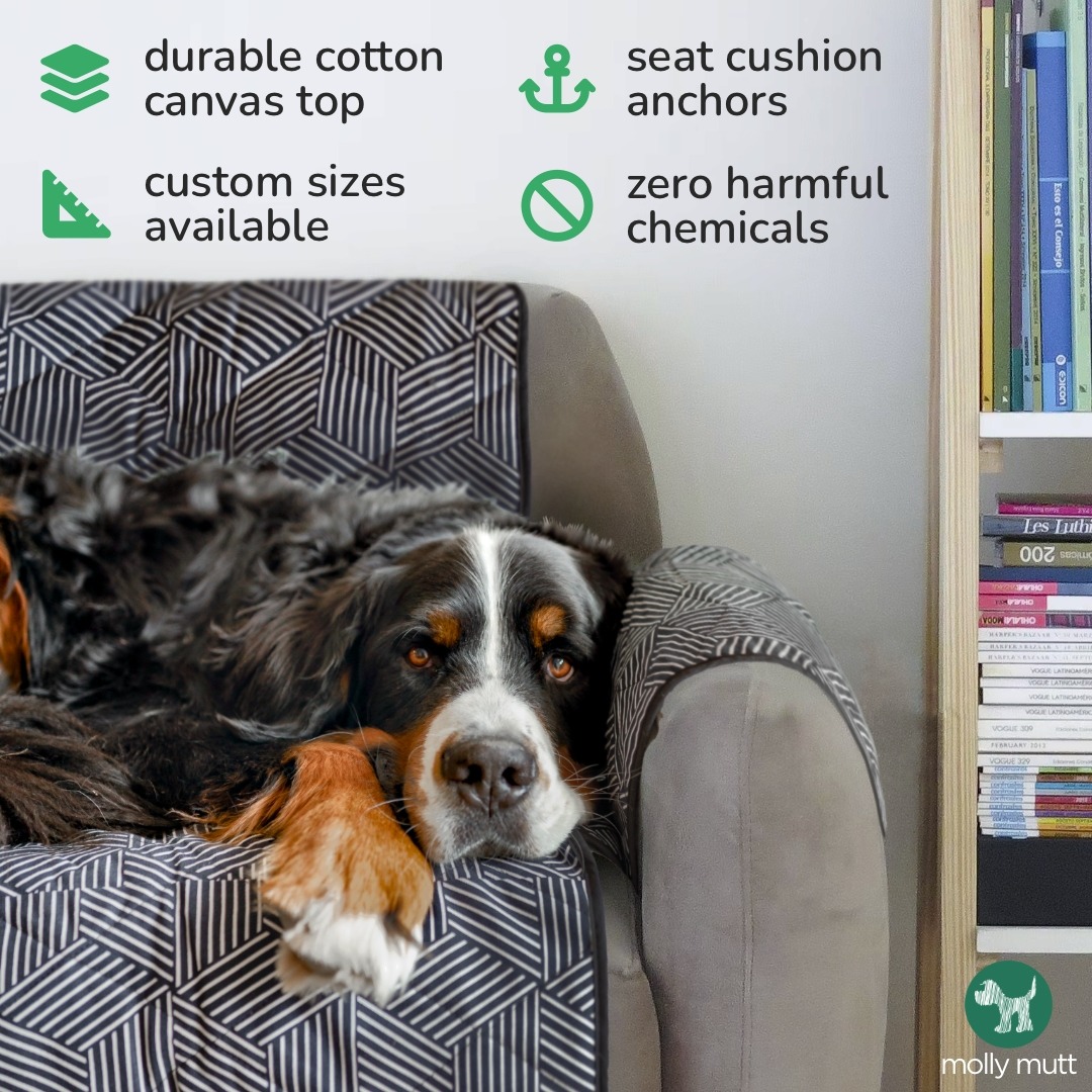 Molly Mutt Facebook ad