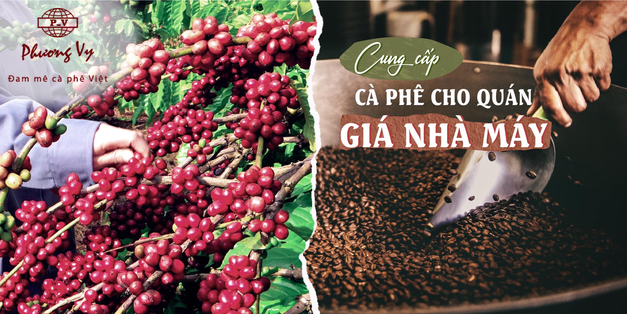 Phuong Vy Coffee Facebook ad: PHƯƠNG VY COFFEE, Cung cấp cà phê cho…