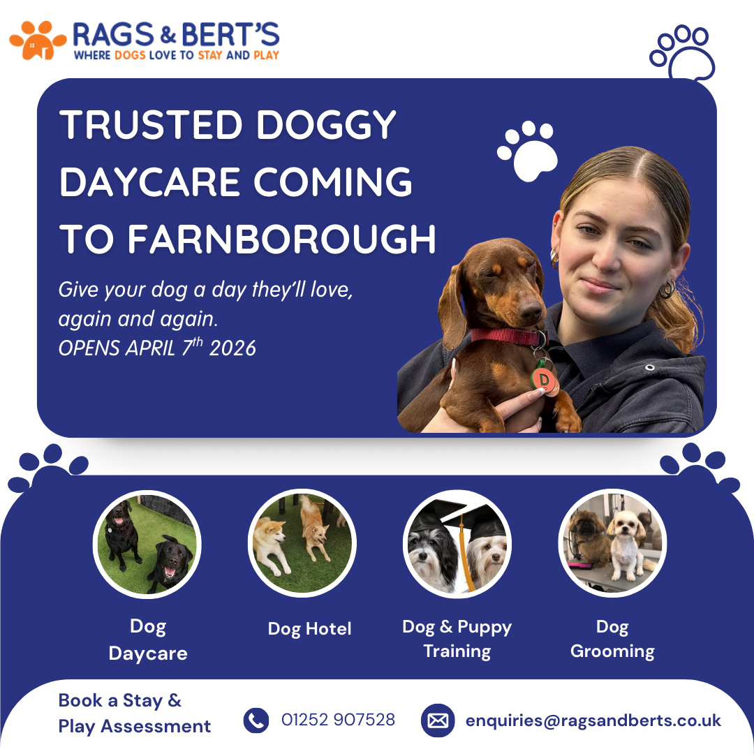 Rags & Bert's Facebook ad: Trusted Doggy Daycare Comes To Farnborough