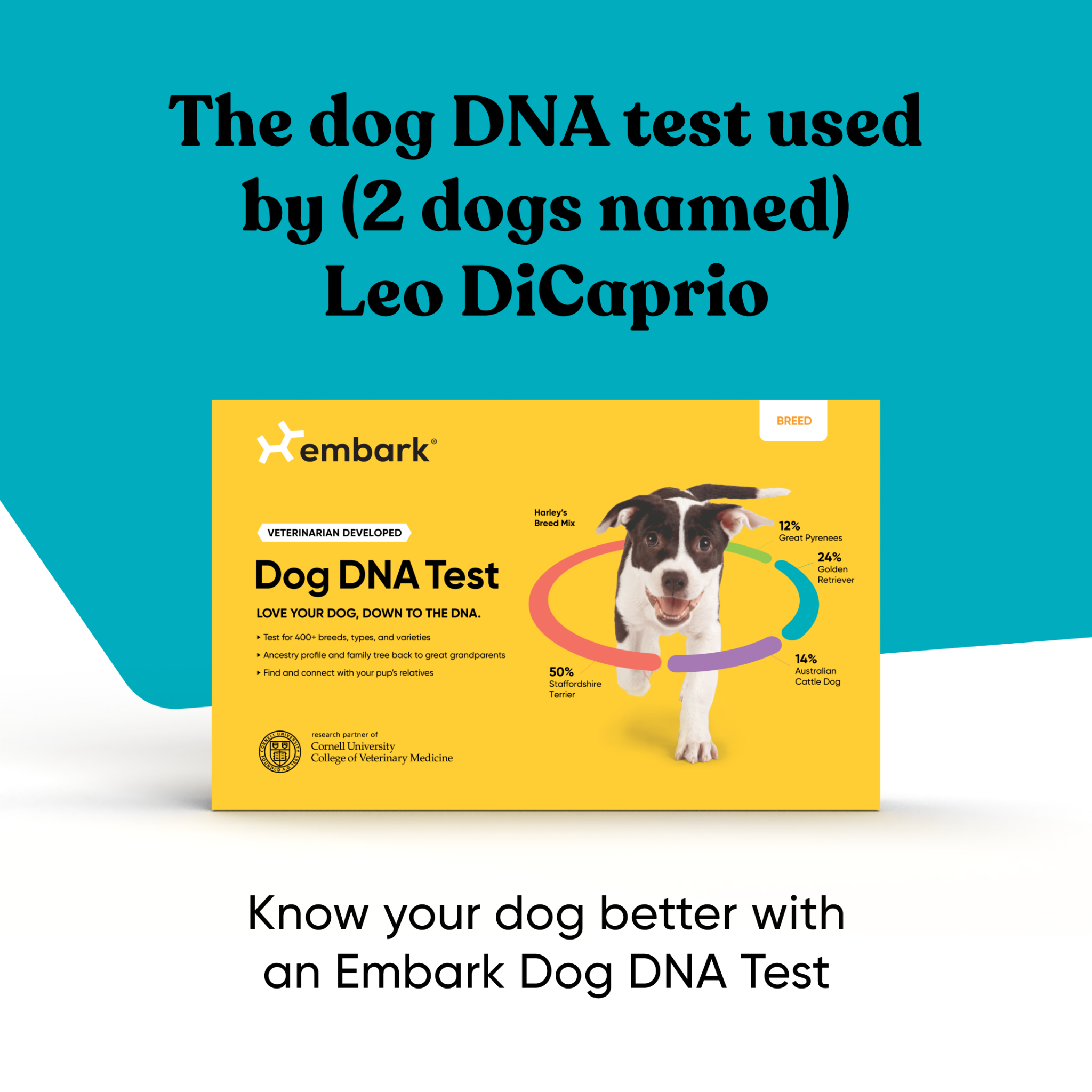 Embark Vet Facebook ad