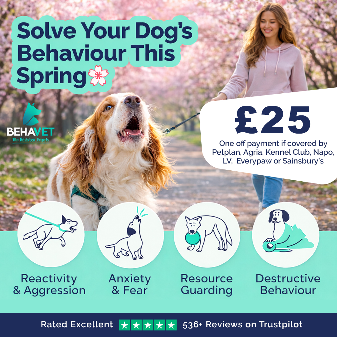 Behavet: The Pet Behaviour Experts Facebook ad