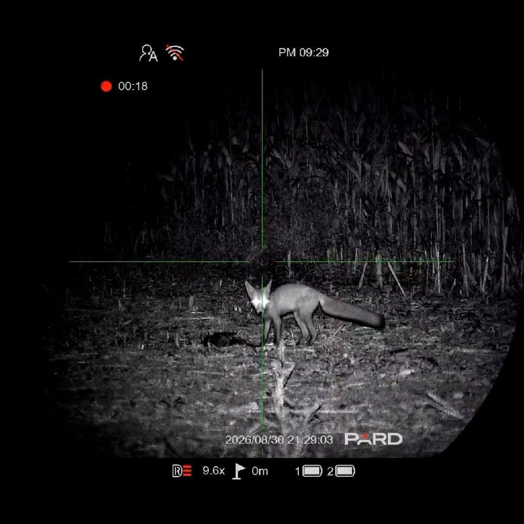Praedator - Poľovnícke potreby Facebook ad: PARD NIGHT STALKER 4K eX LRF