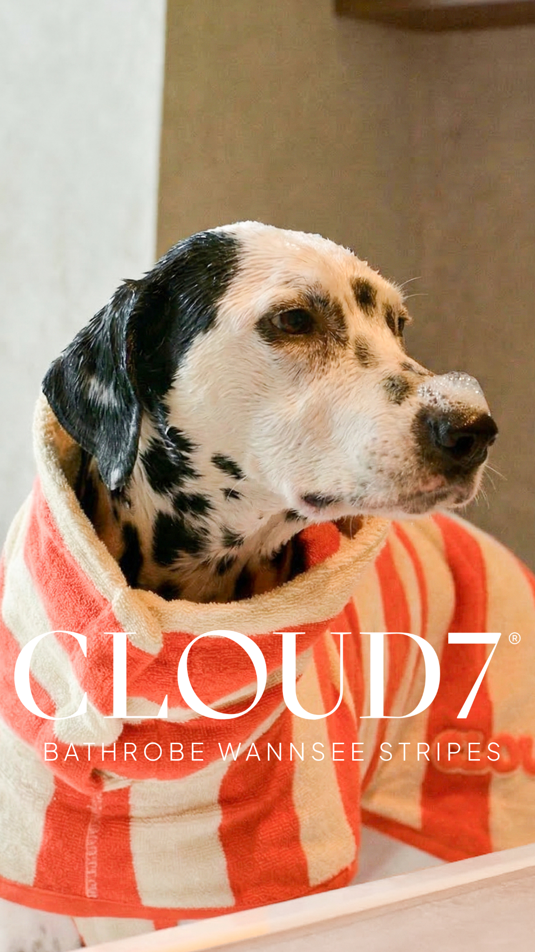Cloud7 Facebook ad