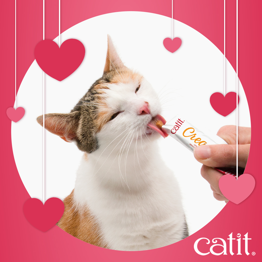 Catit Canada Facebook ad
