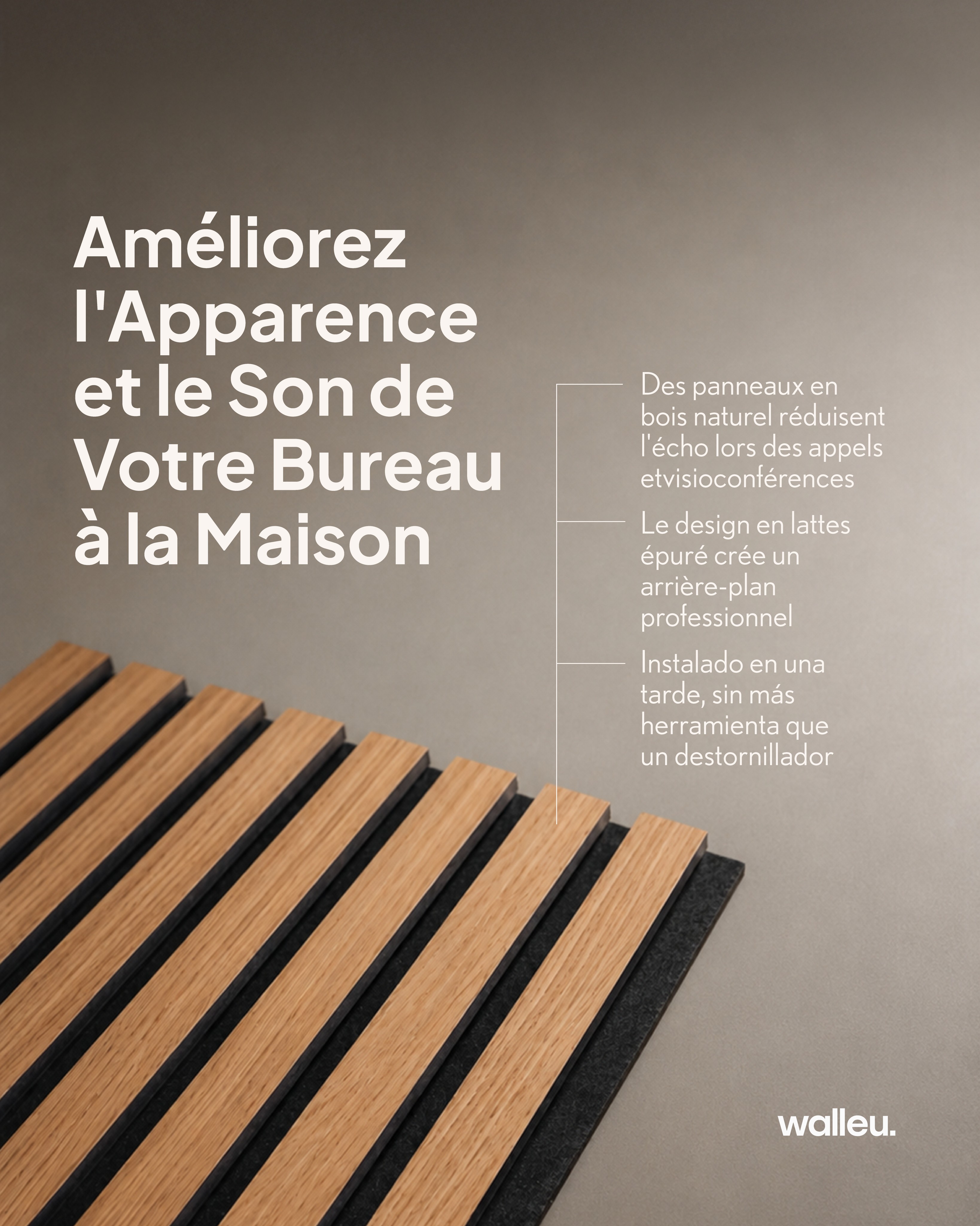 Walleu.fr Facebook ad