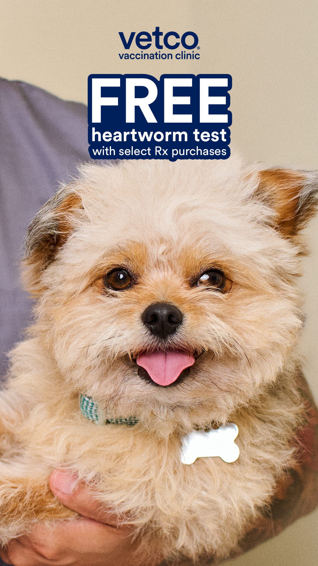 Petco Facebook ad