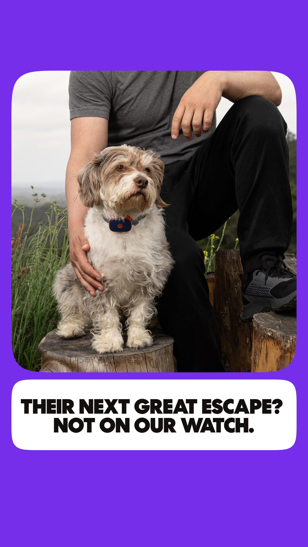 Life360 Facebook ad