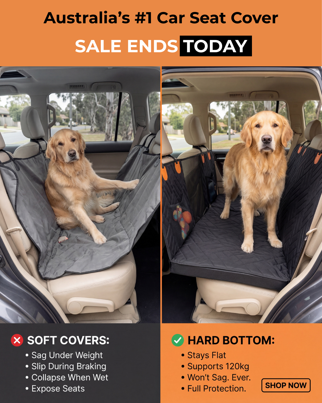 Companion&Co Facebook ad