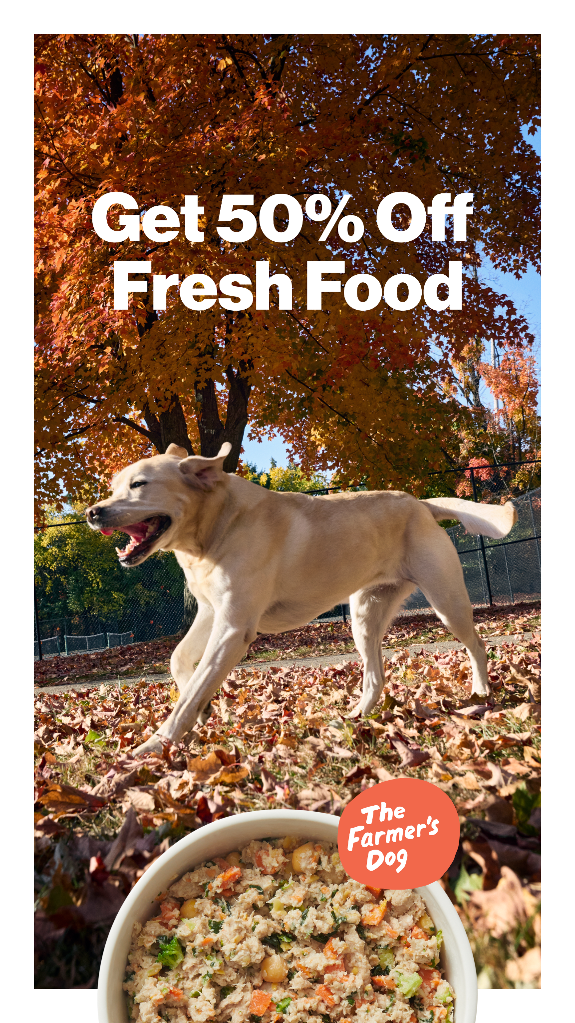 The Farmer's Dog Facebook ad