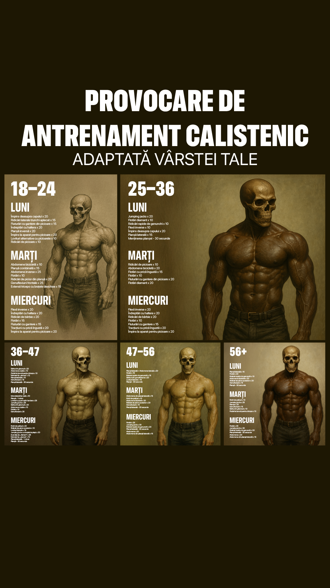 21 Day Calisthenics Challenge Facebook ad