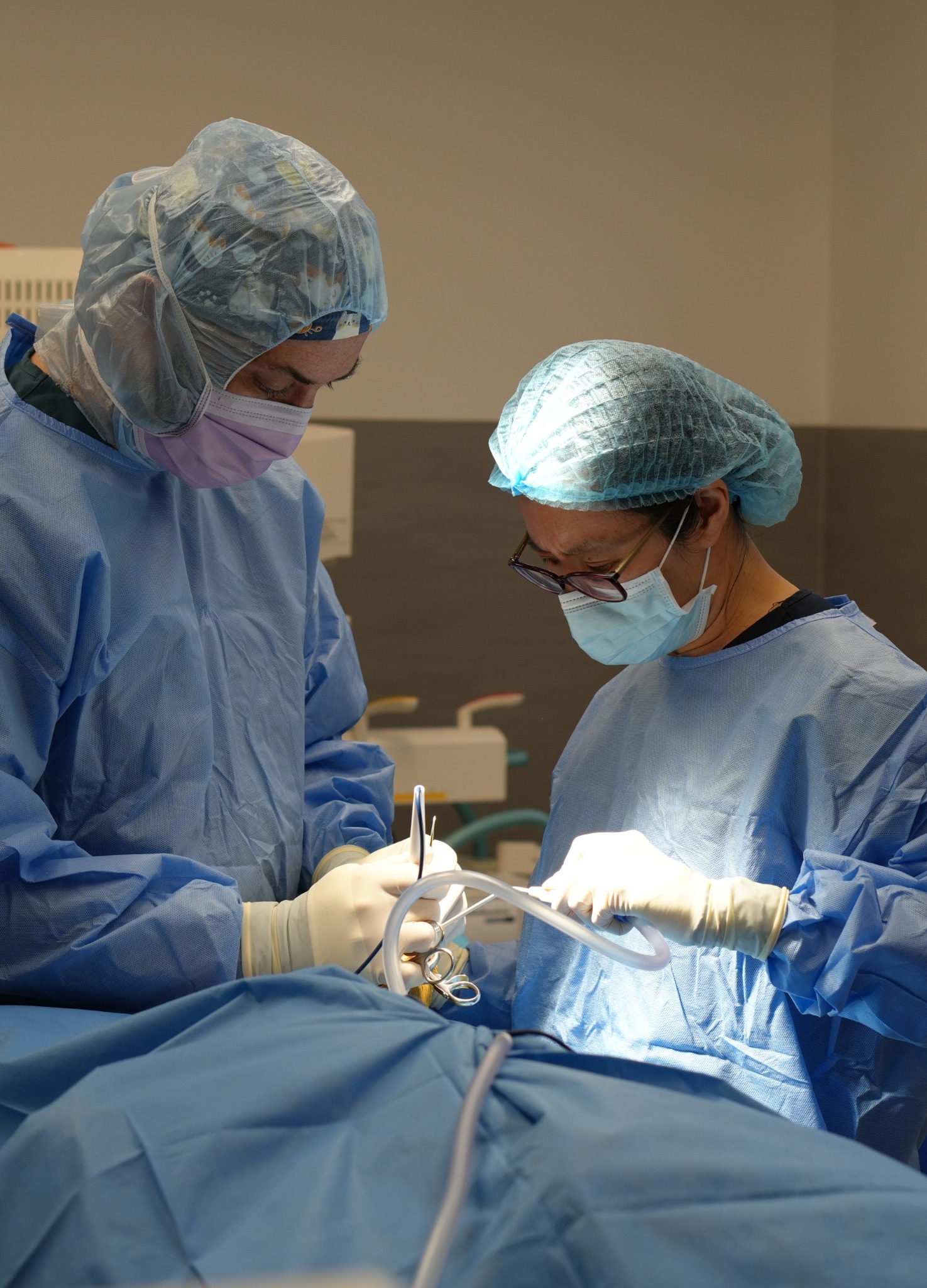 Lort Smith Facebook ad: Refer for specialist surgical expertise