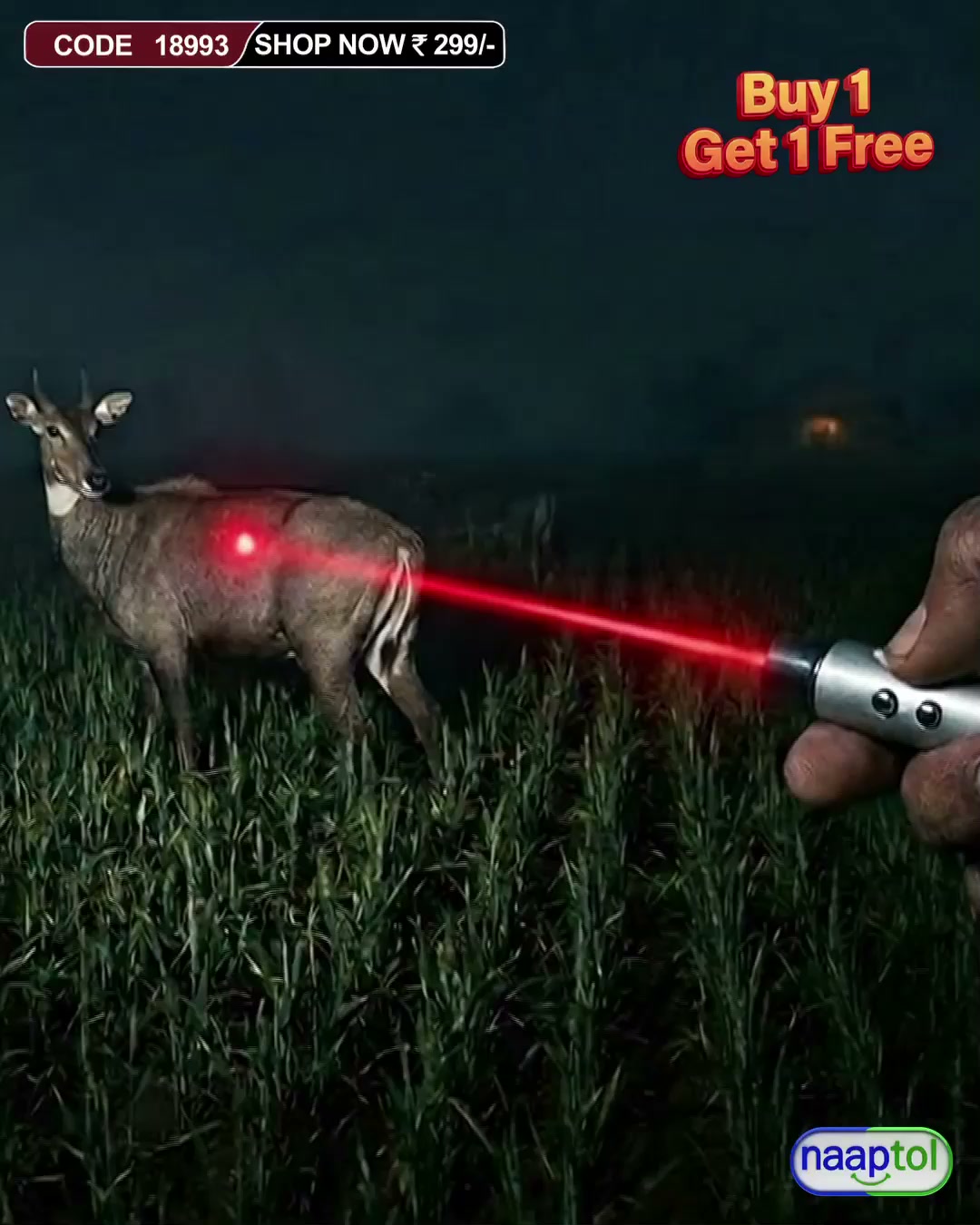 Classis Collection Facebook ad: Don't Miss Out! B1G1 Free on the Essential Multi-Tool!
