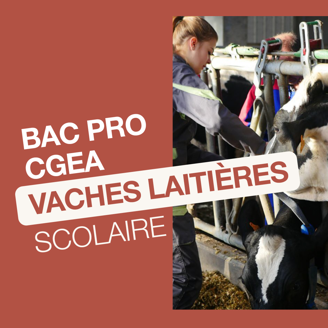Institut de Genech (Officiel) Facebook ad: Une formation concrète après la 3ème